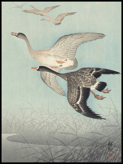Plakat  Great Geese in Flight, Koson Japoński Vintage do Salonu