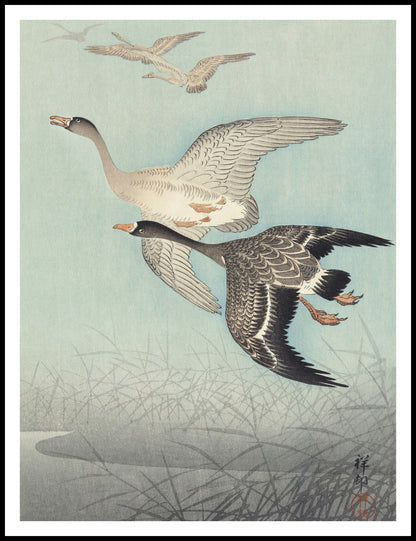 Plakat  Great Geese in Flight, Koson Japoński Vintage do Salonu