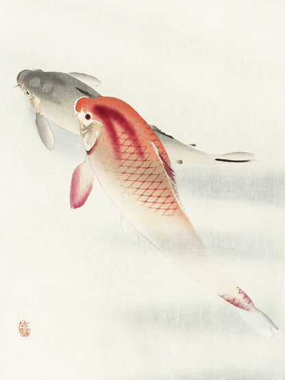 Plakat  Two Carp, Koson Japoński Vintage do Salonu