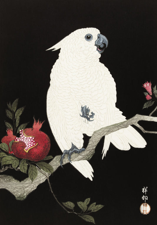 Plakat  Cockatoo and Pomegranate 2, Koson Vintage do Salonu