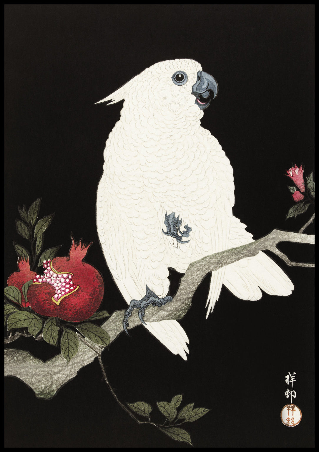 Plakat  Cockatoo and Pomegranate 2, Koson Vintage do Salonu