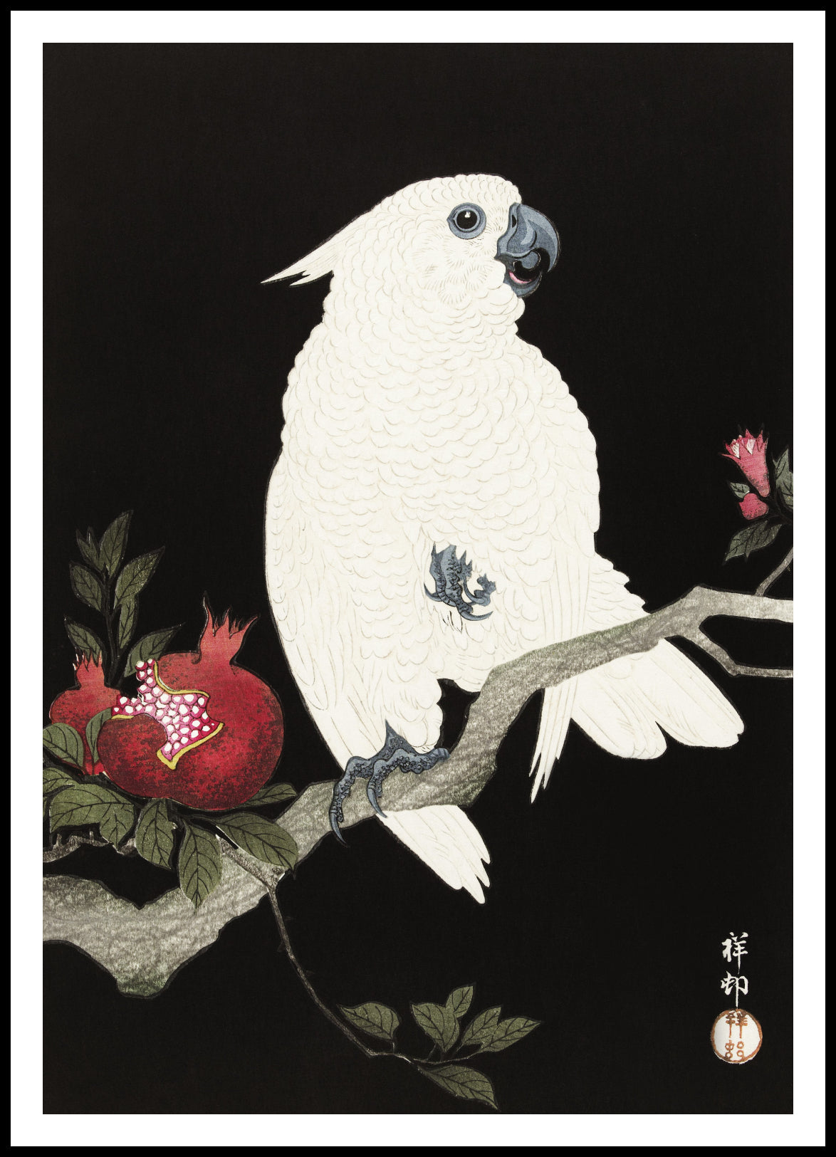 Plakat  Cockatoo and Pomegranate 2, Koson Vintage do Salonu