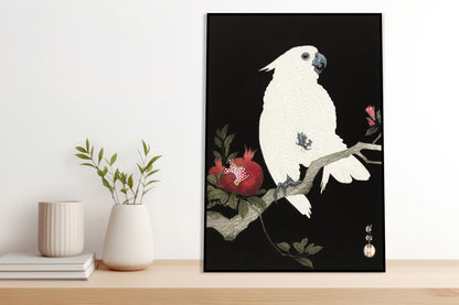 Plakat  Cockatoo and Pomegranate 2, Koson Vintage do Salonu