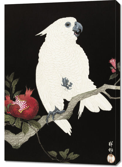 Obraz  Cockatoo and Pomegranate 2, Koson Vintage do Salonu