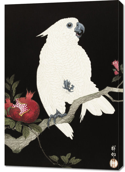 Obraz  Cockatoo and Pomegranate 2, Koson Vintage do Salonu
