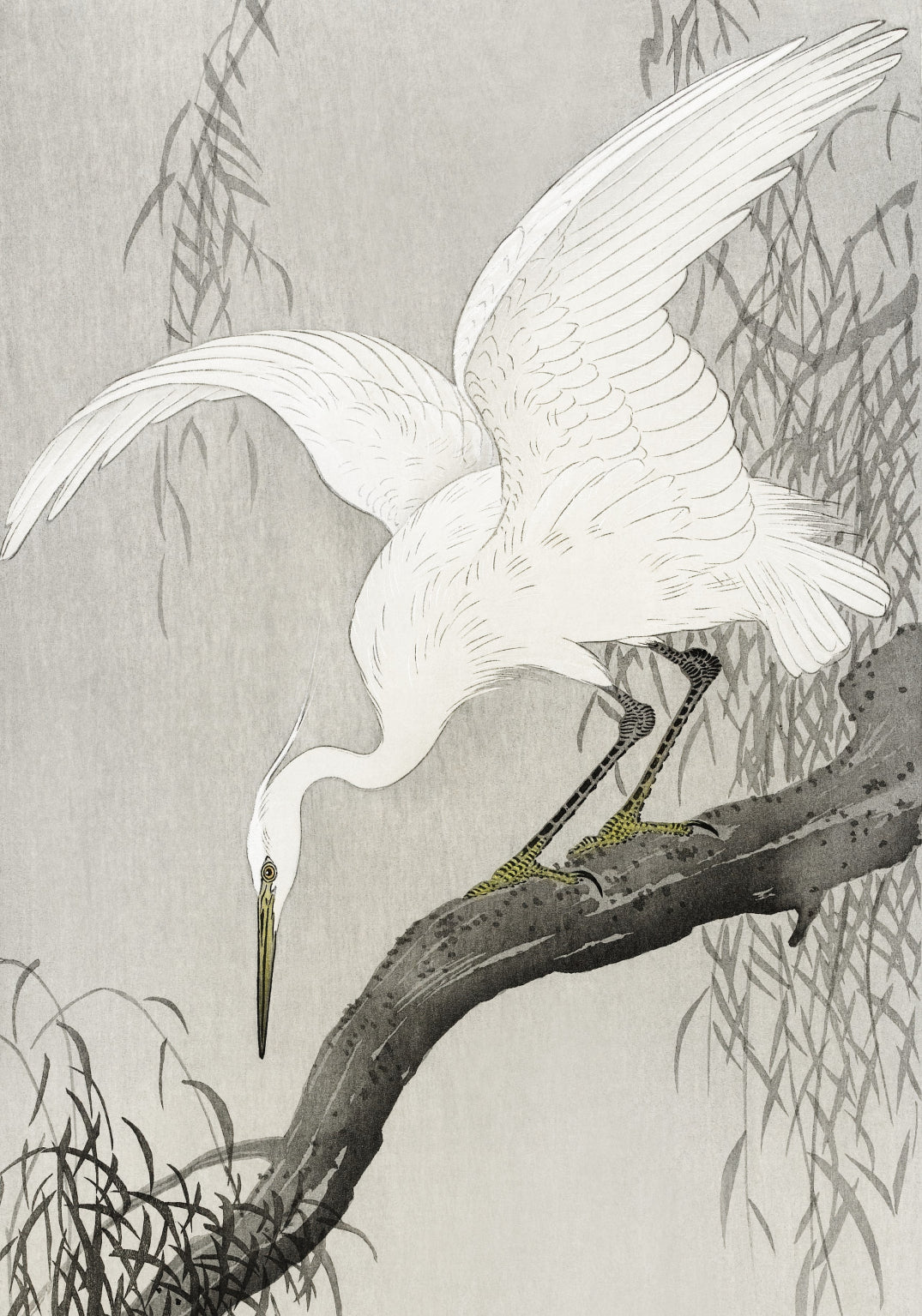 Plakat  White Heron on Tree, Koson Japoński Vintage do Salonu