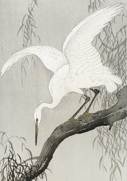 Plakat  White Heron on Tree, Koson Japoński Vintage do Salonu