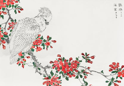 Plakat  Parrot and Pyrus, Kashu Japoński Vintage do Salonu