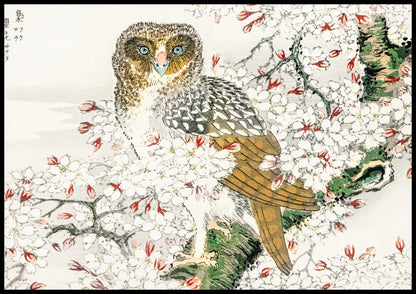 Plakat  Short-Eared Owl, Kashu Japoński Vintage do Salonu