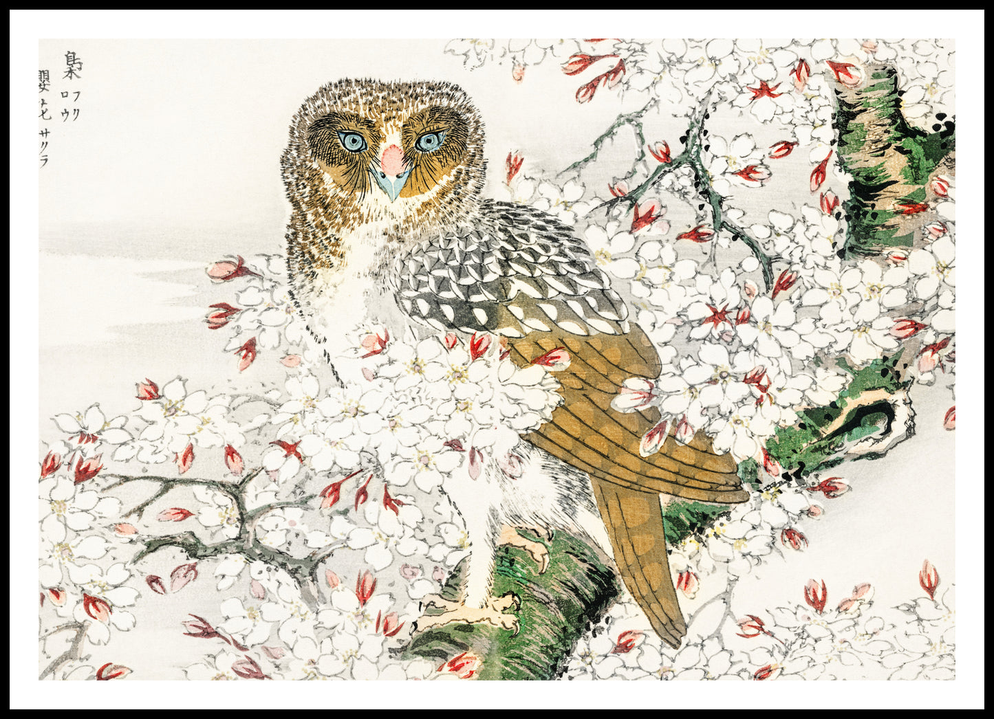 Plakat  Short-Eared Owl, Kashu Japoński Vintage do Salonu