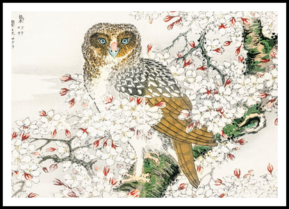 Plakat  Short-Eared Owl, Kashu Japoński Vintage do Salonu
