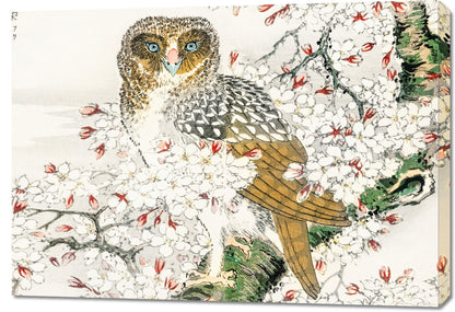 Obraz  Short-Eared Owl, Kashu Japoński Vintage do Salonu