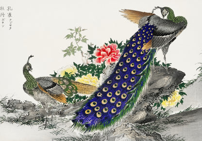 Plakat  Peacock and Peony, Kashu Japoński Vintage do Salonu