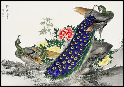 Plakat  Peacock and Peony, Kashu Japoński Vintage do Salonu