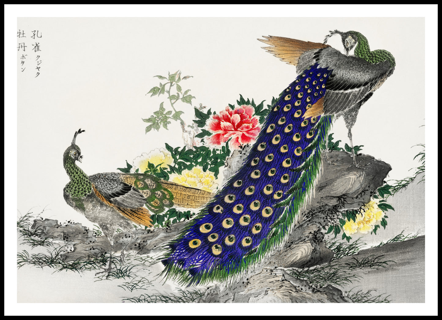 Plakat  Peacock and Peony, Kashu Japoński Vintage do Salonu