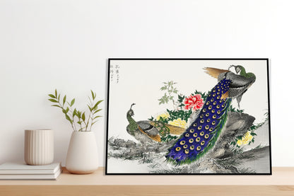 Plakat  Peacock and Peony, Kashu Japoński Vintage do Salonu