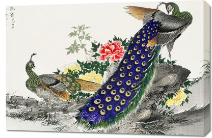 Obraz  Peacock and Peony, Kashu Japoński Vintage do Salonu