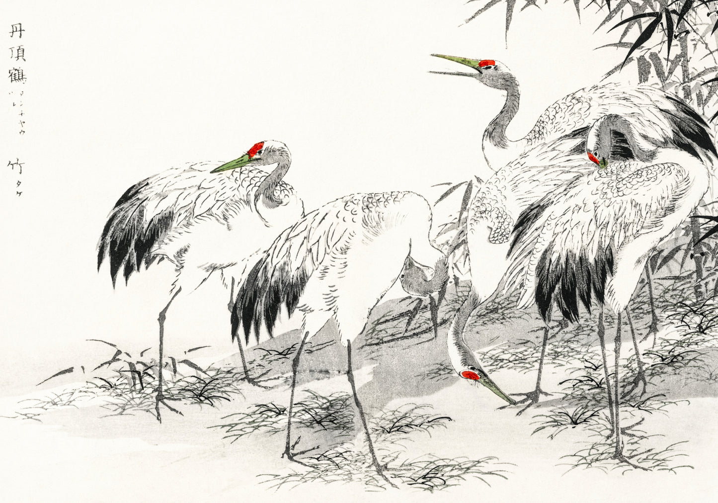 Plakat  Japanese Crane, Kashu Japoński Vintage do Salonu