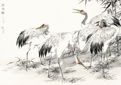 Plakat  Japanese Crane, Kashu Japoński Vintage do Salonu