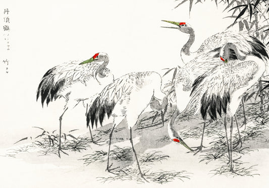 Plakat  Japanese Crane, Kashu Japoński Vintage do Salonu