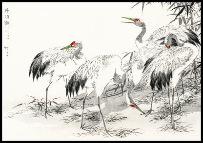 Plakat  Japanese Crane, Kashu Japoński Vintage do Salonu