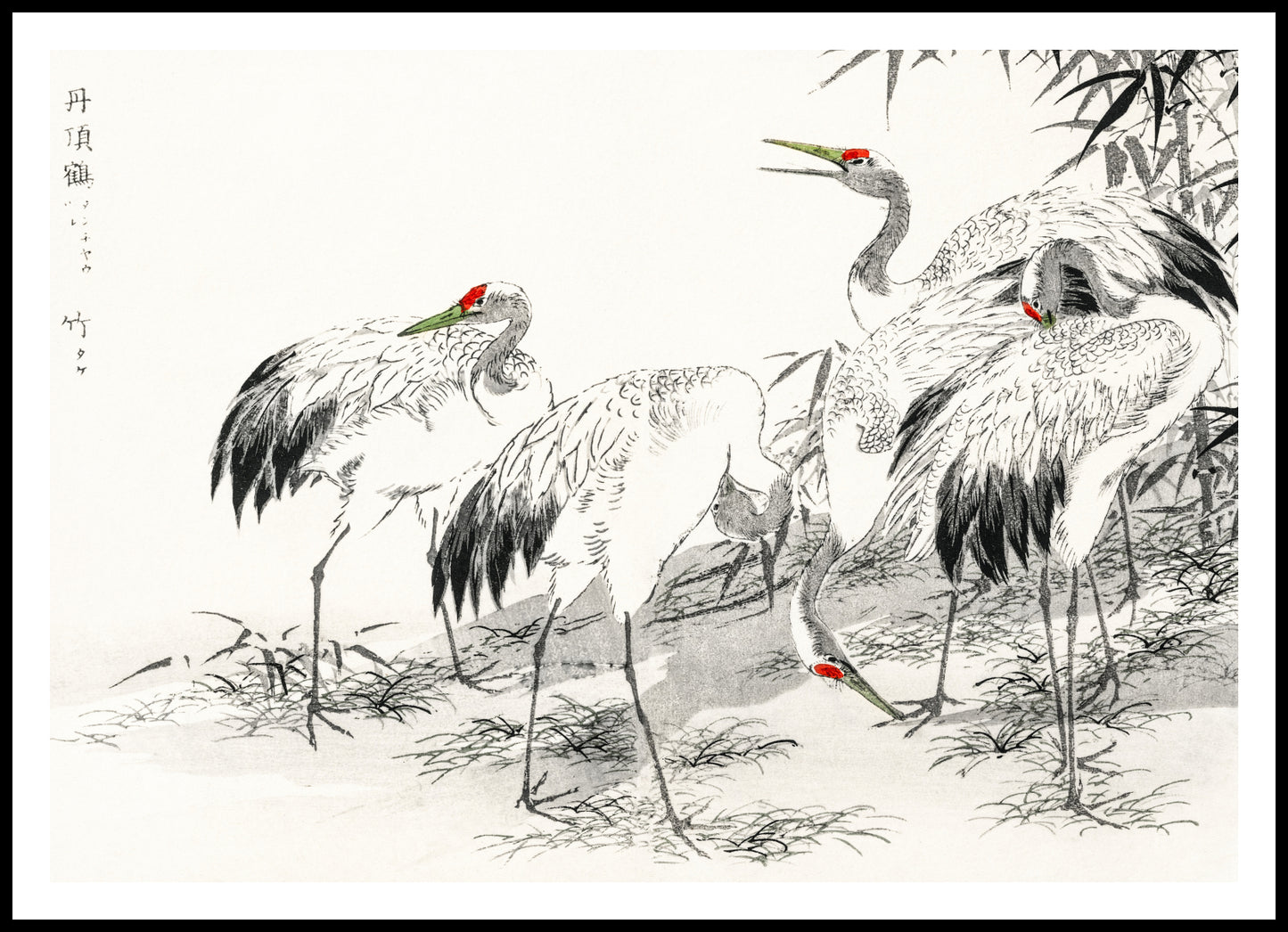 Plakat  Japanese Crane, Kashu Japoński Vintage do Salonu