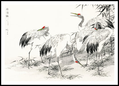 Plakat  Japanese Crane, Kashu Japoński Vintage do Salonu