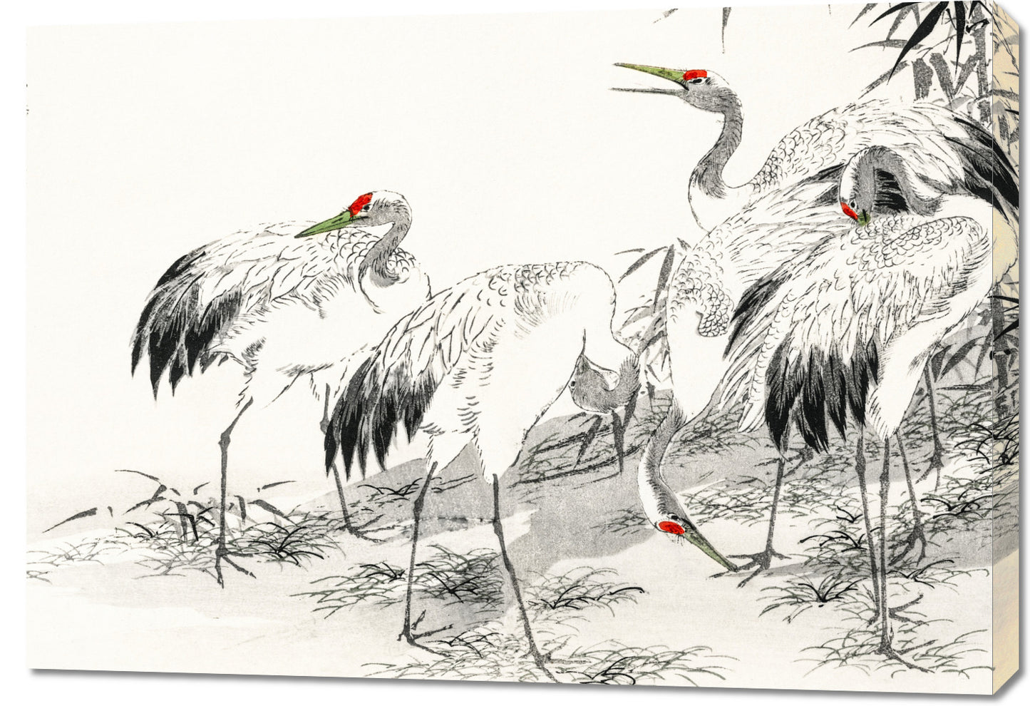 Obraz  Japanese Crane, Kashu Japoński Vintage do Salonu