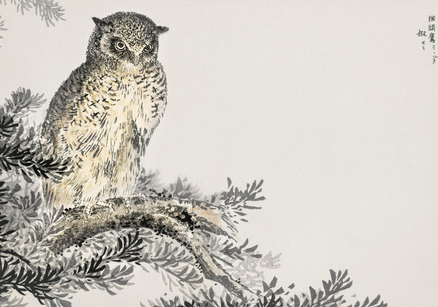 Plakat  Japanese Scops Owl, Kashu Vintage do Salonu