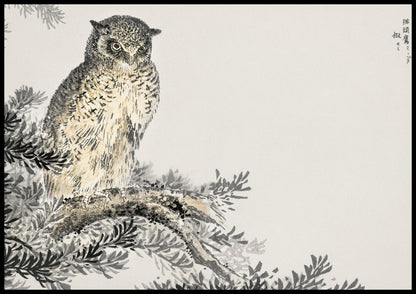 Plakat  Japanese Scops Owl, Kashu Vintage do Salonu