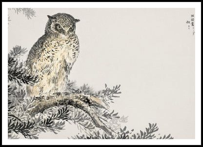 Plakat  Japanese Scops Owl, Kashu Vintage do Salonu