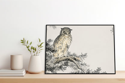Plakat  Japanese Scops Owl, Kashu Vintage do Salonu