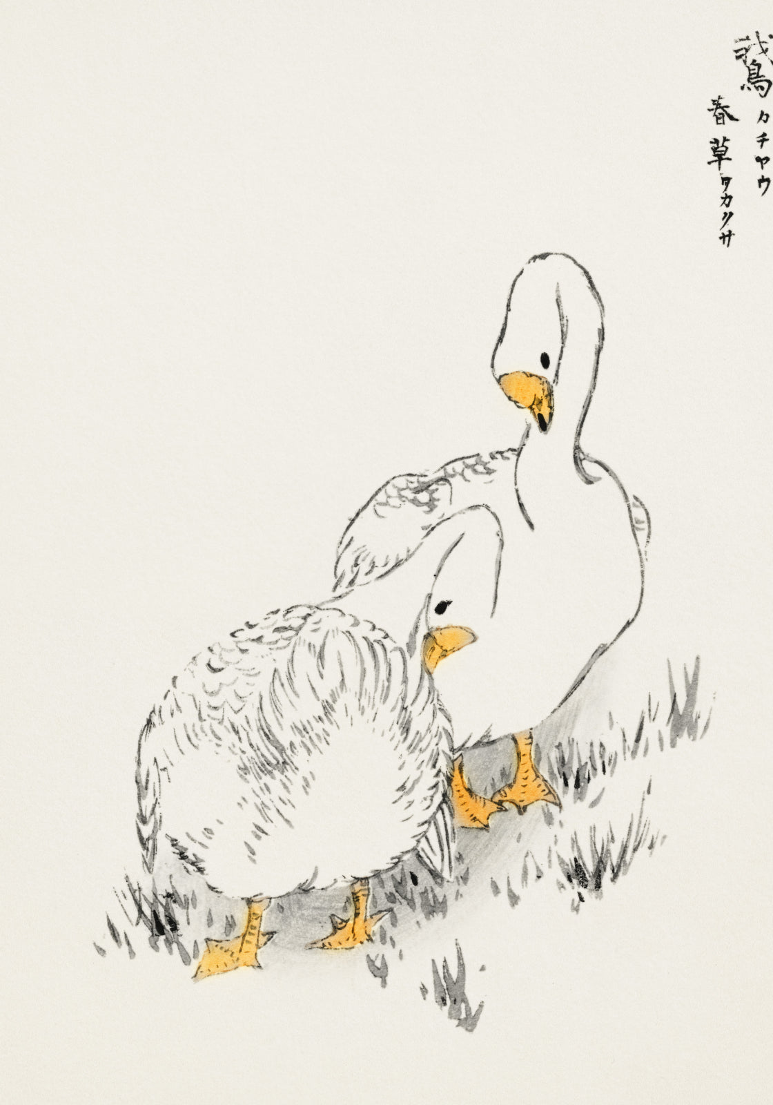 Plakat  Duck and Young Grass, Kashu Vintage do Salonu