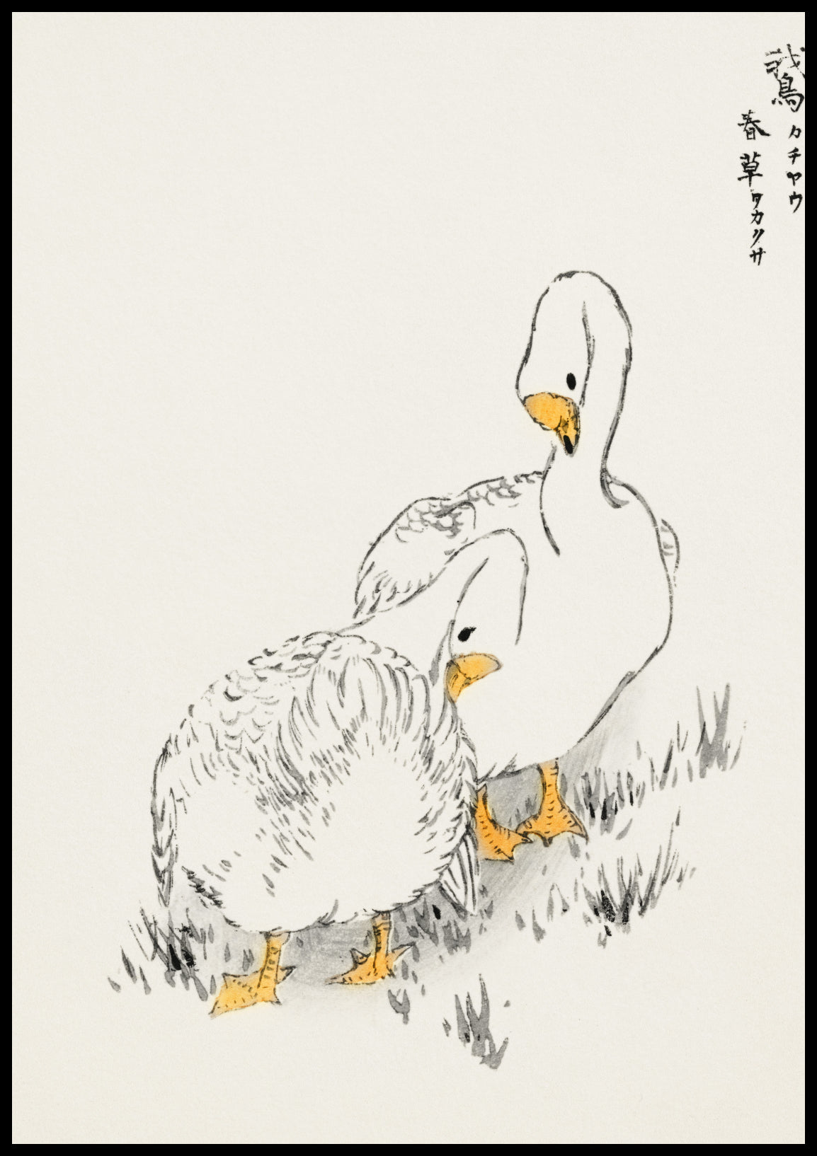Plakat  Duck and Young Grass, Kashu Vintage do Salonu