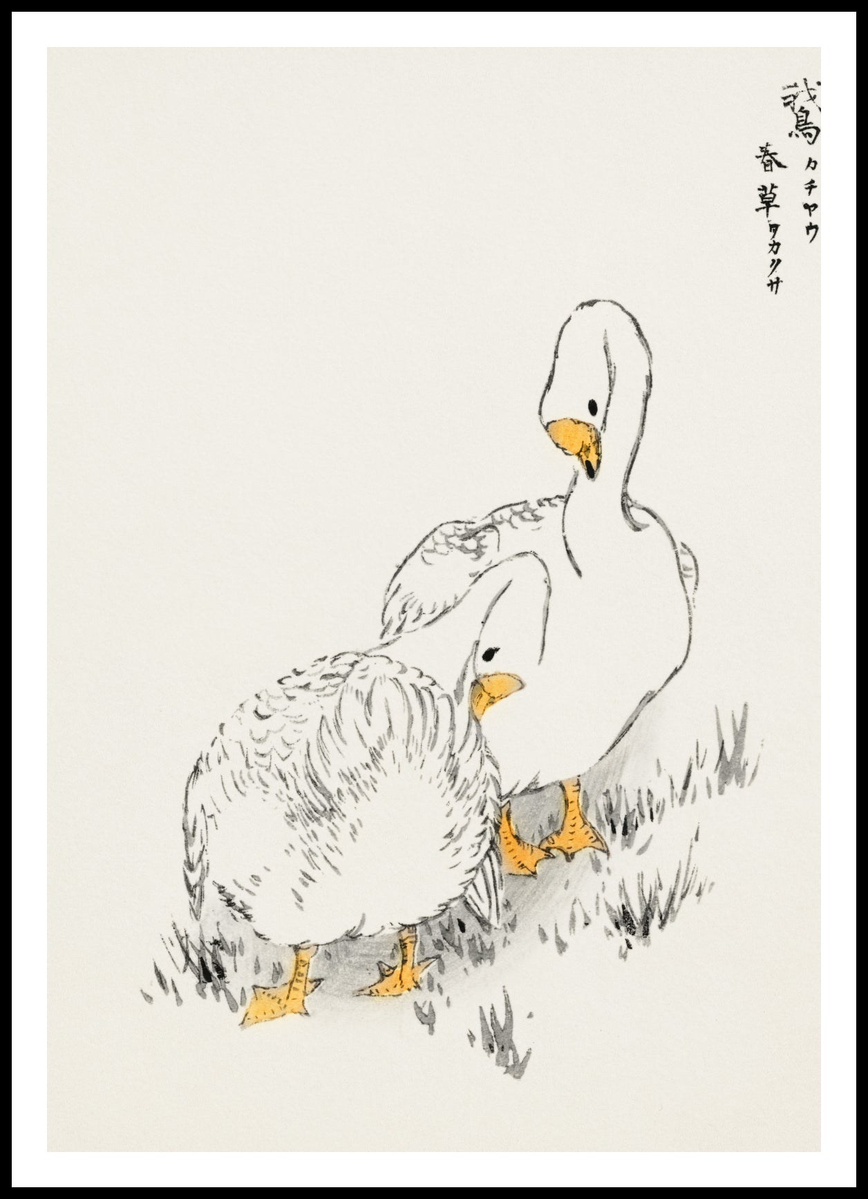 Plakat  Duck and Young Grass, Kashu Vintage do Salonu