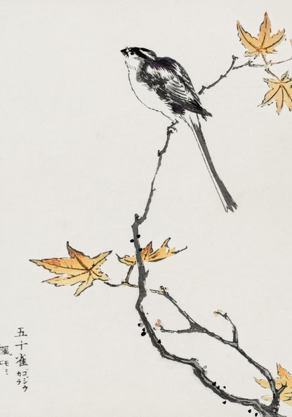 Plakat  Japanese Long-tailed Tit, Kashu Vintage do Salonu