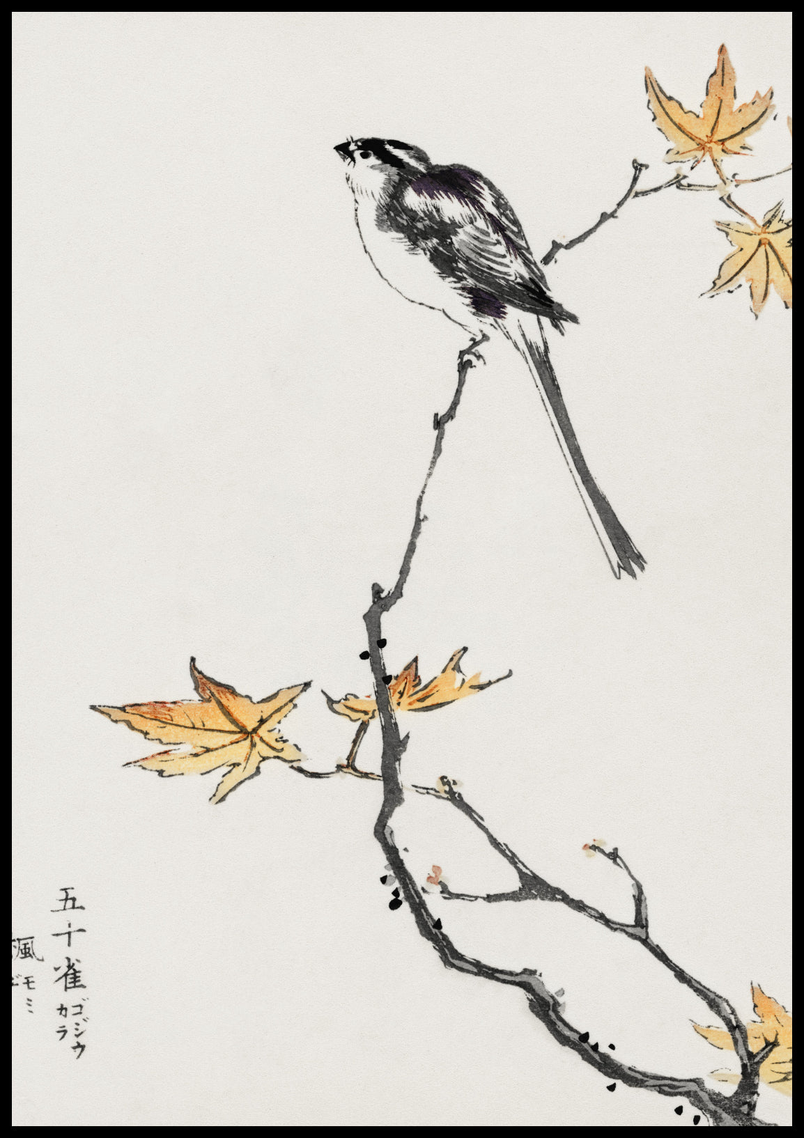 Plakat  Japanese Long-tailed Tit, Kashu Vintage do Salonu