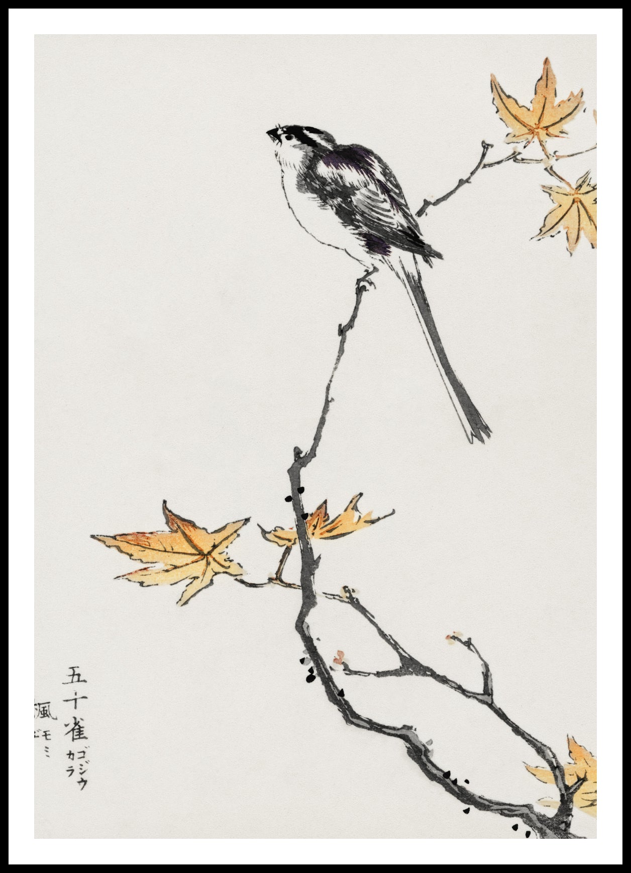 Plakat  Japanese Long-tailed Tit, Kashu Vintage do Salonu