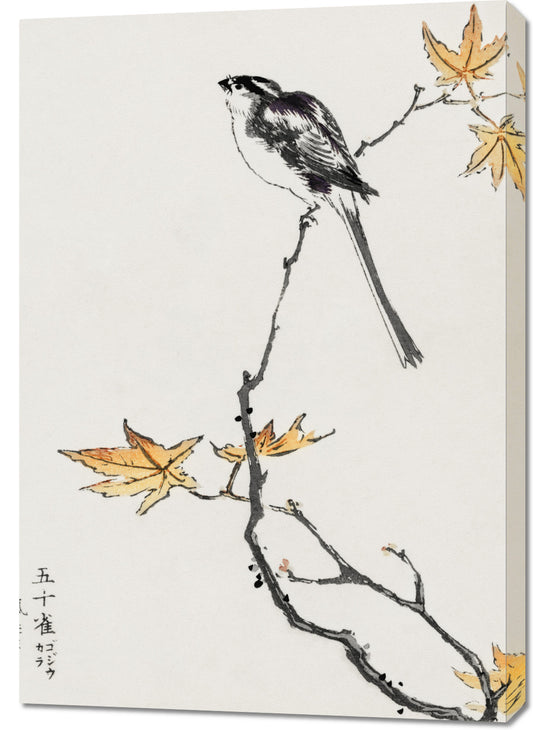 Obraz  Japanese Long-tailed Tit, Kashu Vintage do Salonu