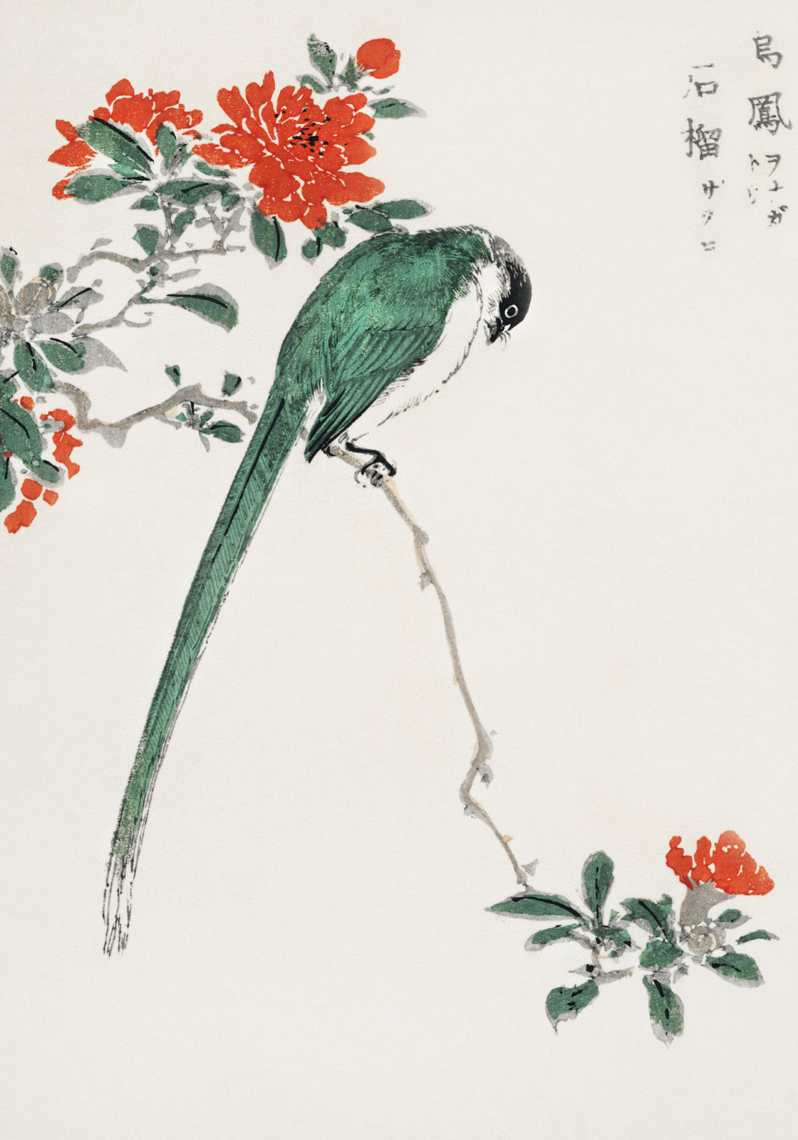 Plakat  Japanese Long-tailed Tit 2, Kashu Vintage do Salon