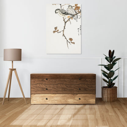 Obraz  Siskin and Euonymus Alata, Kashu Vintage do Salonu
