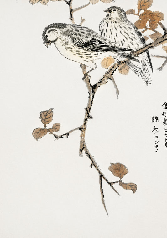 Plakat  Siskin and Euonymus Alata, Kashu Vintage do Salonu