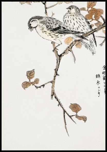 Plakat  Siskin and Euonymus Alata, Kashu Vintage do Salonu