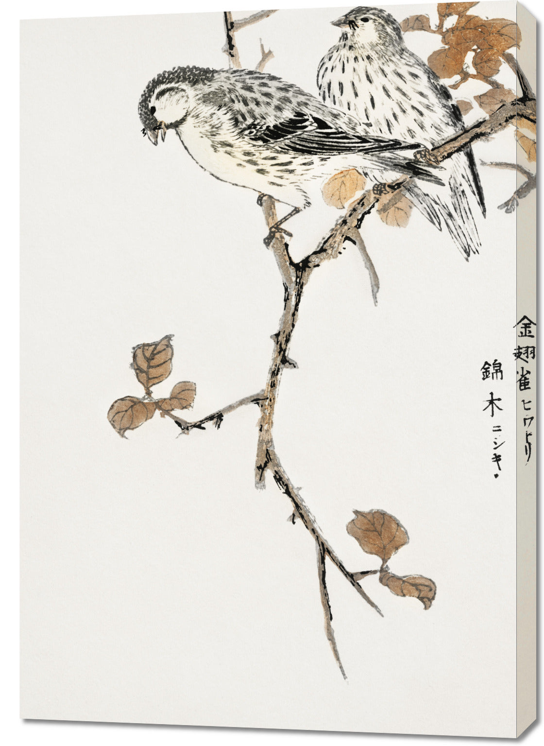 Obraz  Siskin and Euonymus Alata, Kashu Vintage do Salonu