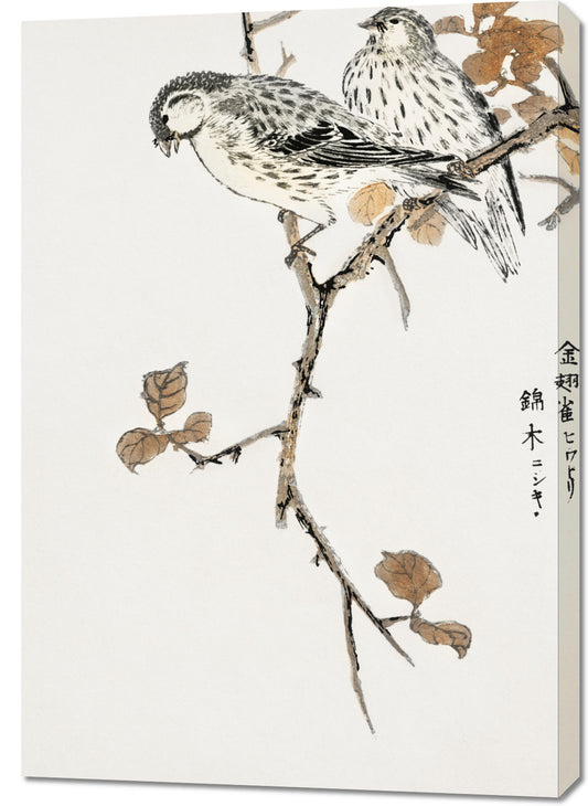 Obraz  Siskin and Euonymus Alata, Kashu Vintage do Salonu