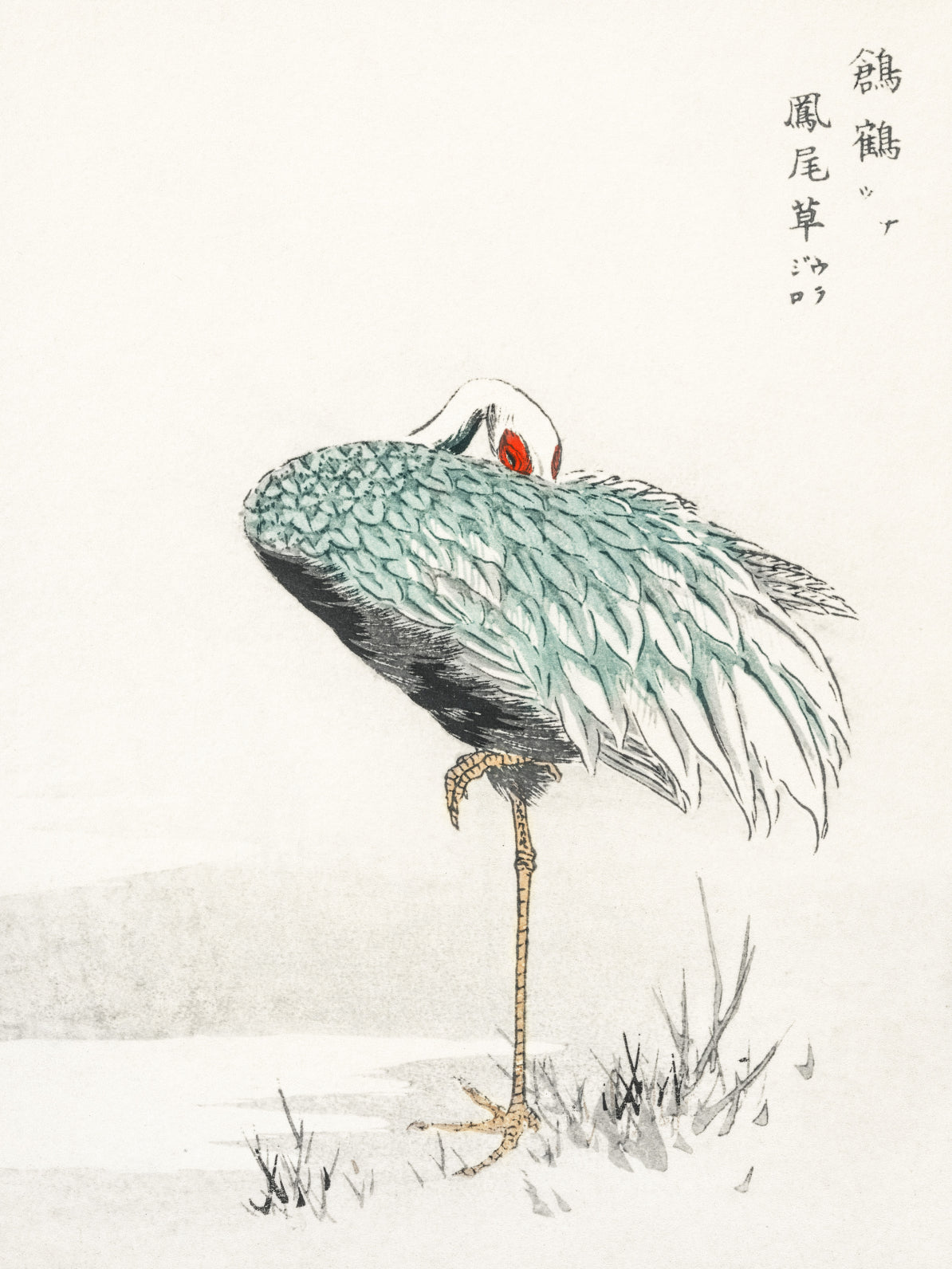 Plakat  White-naped Crane, Kashu Vintage do Salonu