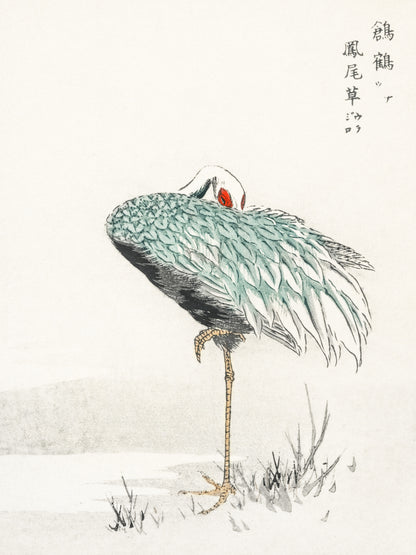 Plakat  White-naped Crane, Kashu Vintage do Salonu