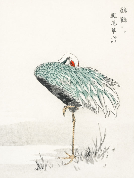 Plakat  White-naped Crane, Kashu Vintage do Salonu