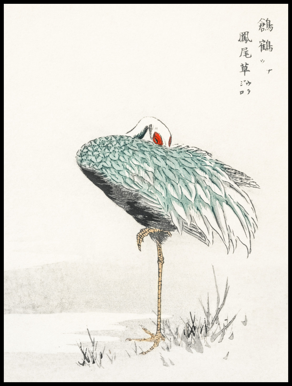 Plakat  White-naped Crane, Kashu Vintage do Salonu