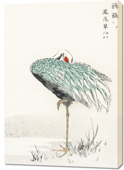 Obraz  White-naped Crane, Kashu Vintage do Salonu